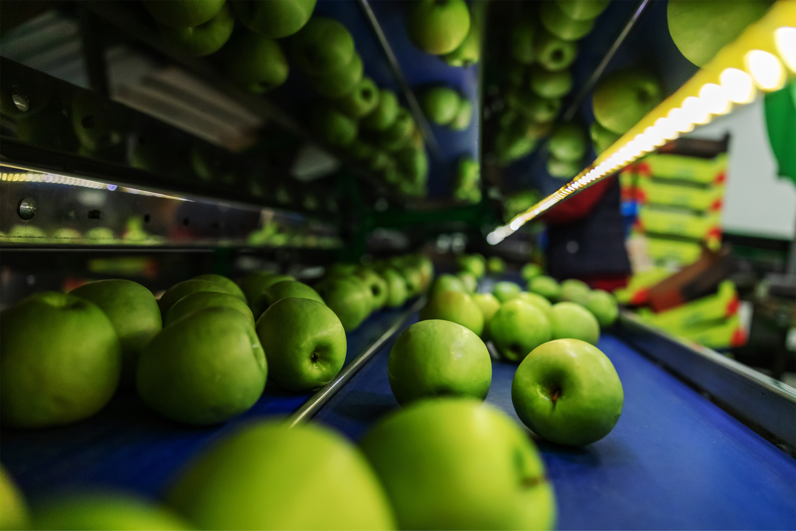 Imagem de umas maçãs verdes em um robô usado no agro